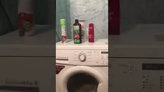ЛЕЗГИНКА ШАМПУНЯ