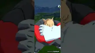 (PVP דרגון בול לג 'ינס (חבילות וטיקטים