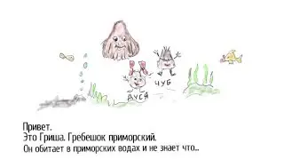 Познавательный ролик "О Дальневосточном морском гребешке"