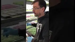Как дела на ферме?