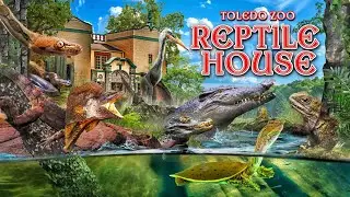 Zoo Tours: A Positively WEIRD Reptile House | Toledo Zoo