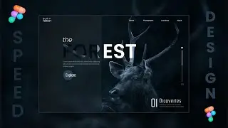 Figma Website Design || DVxUI || UI/UX Design