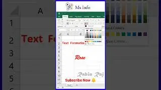 Text Formatting in Excel | text alignment in excel | #howtodo #excel #vba