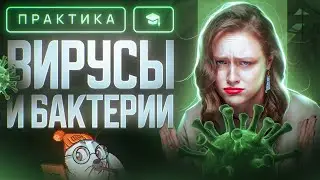 Вирусы и бактерии | ЕГЭ-2025 по биологии