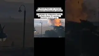 В Южной Корее разбился пассажирский самолет 