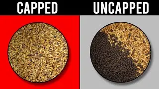 Impact Capping The Mash When Doing A Ferulic Acid Rest Has On A Dunkelweizen | exBEERiment