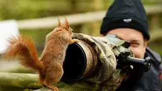 How To Sell Pictures Online - Freelance Photography Jobs
