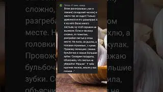 Для крупного чеснока. Спасибо, Танюша❤ 