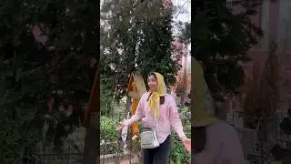На этой могилке случаются чудеса! Старица Схимонахиня Гавриила 🙏 на Алексеевском кладбище в Москве