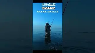 НОВАЯ СНАСТЬ на кефаль - ДВА ПОПЛАВКА!  АЛЬТЕРНАТИВА  донной снасти для рыбалки на пеленгаса, лобань