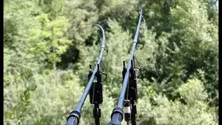 CARP RUN | PROLOGIC SMX