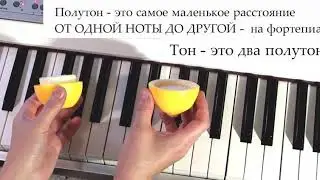 Тон и Полутон. Как понять и просчитать.