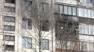 MVI0162