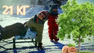 Деревенский урожай собирают даже зимой. Рецепт ДРАНИКОВ подписчикам.