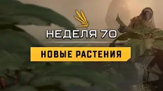 ICARUS | Обновление  70 недели | Новые растения | Как их получить и что можно из них приготовить | 🐻