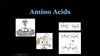 Chem 24 sep 20 - part 2