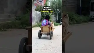 This little Girl has a Dog Taxi 😲❤️
