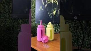Super cute mini water bottles by Bink! 🪴🌞 #water #everydaycarry #essentials