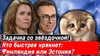 Задачка со звёздочкой! Кто быстрее крякнет: Финляндия или Эстония?