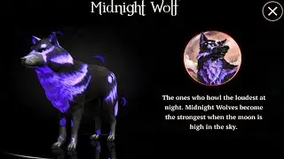 The Wolf - Unlocking Midnight Wolf Skin