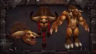 New WoW character models