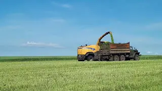 Заготовка сенажа 2017г