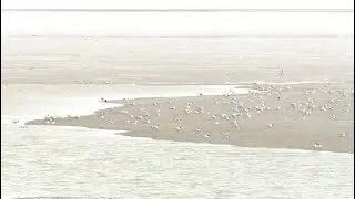 Уровень воды резко повысился в реке Аршалы