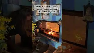 Ваше летнее утро может быть таким, если проснуться в 📍Отель-усадьба «Времена года», озеро Наговье