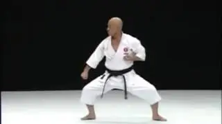 Рюэй рю ката Пайку