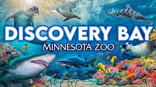 Zoo Tours: Discovery Bay Aquarium | Minnesota Zoo