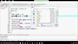 C infinite while loop