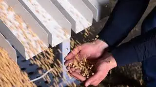 Работа АСМ