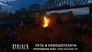 S.T.A.L.K.E.R.: True Stalker | ФИНАЛ | Путь в Новошепеличи | Прохождение #3