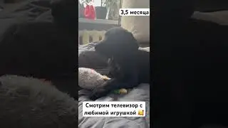 Интересно, какие у нее мысли в этот момент?