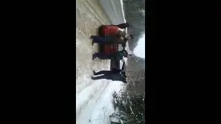 16 февраля 2017 г.