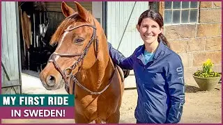 Riding the Swedish Riding Pony