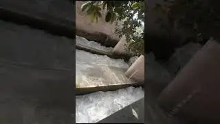Taunsa Barrage || تونسہ بیراج
