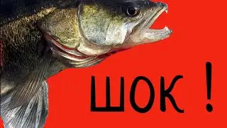 ШОК!!!Невероятно бюджетная снасть !