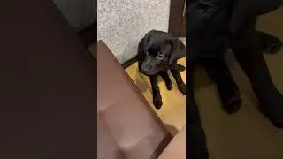 Неудачный дубль 😂 со звуком 🔉 