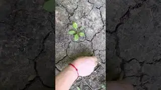 Продолжаем болтаться… играем в секретики😂