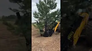Пересадчик деревьев EXTEN WM3 на экскаваторе-погрузчике JCB