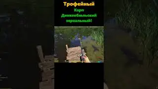РР4 - Трофейный карп Динкенбюльский зеркальный! #shorts  #русскаярыбалка4  #рыбалка  #fishing