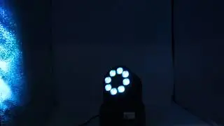 MVI 0073