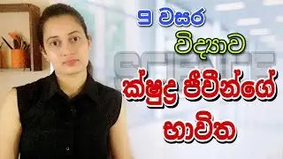 Grade 9 Science1st lesson - ක්ෂුද්‍ර ජීවීන්ගේ භාවිත | Uses of Microorganisms 9 වසර විද්‍යාව 1 පාඩම