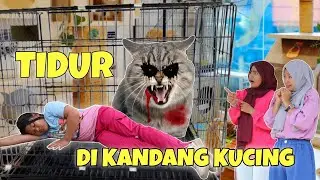SEDIH 😭 Chika Tidur Di Kandang Kucing | CHIKAKU CHANNEL