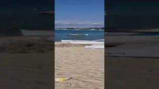 discovering hammamet Tunisia seaside Sanctuary