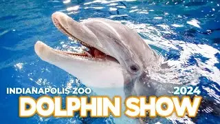 Zoo Tours: Indianapolis Zoo Dolphin Show (2024)