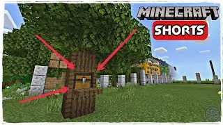 THE SECRET CHEST INSIDE A TREE IN MINCRAFT 