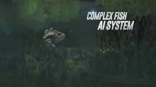 Best moment of the....fishing