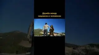 Дружба между человеком и хищником